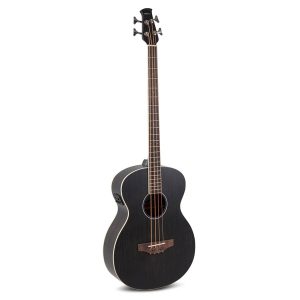 Elektro-akusticna-bas-Gitara-sa-cetiri-zice-Applause-AEB96-4